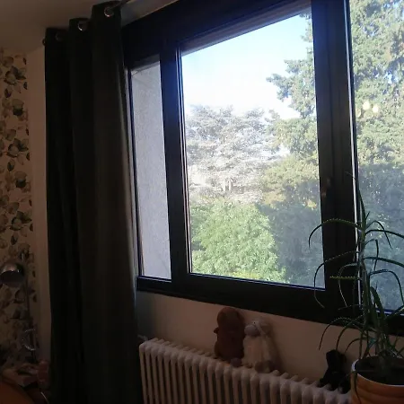 Au Centre De Apartment